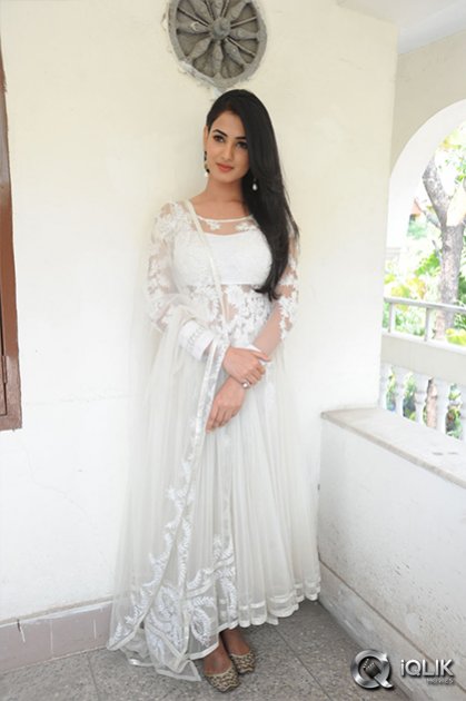 Sonal-Chauhan-at-Legend-Movie-Press-Meet
